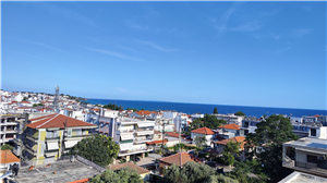 Roof Panorama